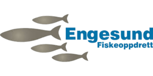 Engesund Fiskeopprett