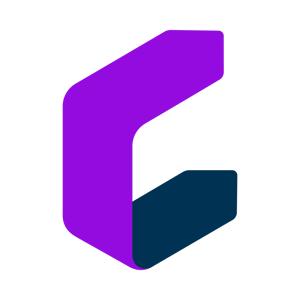 Payroll icon